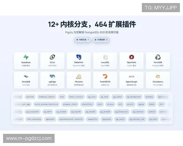 探索PG网站旗舰网站的最新功能与优势，打造极致在线娱乐新体验
